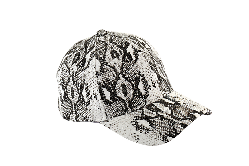 福州棒球帽FDR_8891